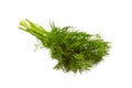 Bunch of fresh dill Royalty Free Stock Photo