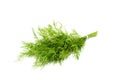 Bunch fresh dill close-up. Royalty Free Stock Photo