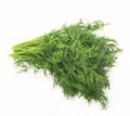 Bunch fresh dill herb isolated on white background Royalty Free Stock Photo