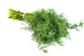 Bunch fresh dill herb isolated on white background Royalty Free Stock Photo