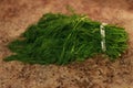 Bunch of fresh dill herbs and on granite table, top view, copy space. Royalty Free Stock Photo