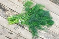 Bunch of fresh dill with scissors on wooden background Royalty Free Stock Photo