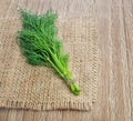 Bunch fresh dill Royalty Free Stock Photo