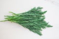 A bunch of fresh dill with a vegetable garden on the table. green food for raw food, a mix of vitamins for health Royalty Free Stock Photo