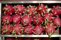 A bunch of dragon fruit Royalty Free Stock Photo