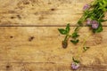 Bunch of fresh flowering clover