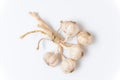 A bunch of fresh aromatic garlic isolated on a white background. Royalty Free Stock Photo