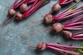 Bunch of fresh garden beetroot Royalty Free Stock Photo