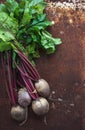 Bunch of fresh garden beetroot over grunge rusty Royalty Free Stock Photo
