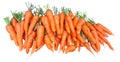 Bunch of fresh garden carrots isolated on white background Royalty Free Stock Photo