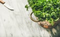 Bunch of fresh garden herbs in brass colander, marble background