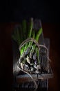 Bunch of fresh green asparagus spears on a rustic wooden table, dark moody style Royalty Free Stock Photo