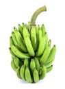 Bunch of fresh green cavendish banana isolated on white background Royalty Free Stock Photo