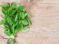 A bunch of fresh green basil Royalty Free Stock Photo