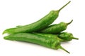 Bunch of fresh green chili peppers