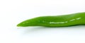 Bunch of fresh green chili peppers Royalty Free Stock Photo