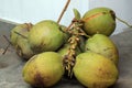 Bunch of fresh green coconuts. Royalty Free Stock Photo