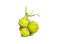 Bunch of fresh green Coconuts over white background, isolated Royalty Free Stock Photo