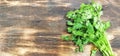 Fresh green coriander or cilantro or parsley on wooden background Royalty Free Stock Photo