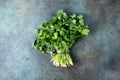 A bunch of fresh green coriander on a dark surface. Selective focus Royalty Free Stock Photo