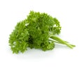 Bunch of fresh green curly parsley Royalty Free Stock Photo