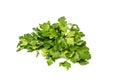 Bunch of fresh green curly parsley. Isolated on white background Royalty Free Stock Photo