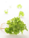 Bunch of fresh green curly parsley on white background. Selecrive focus Royalty Free Stock Photo