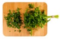 Bunch of fresh green curly parsley