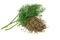 bunch fresh green dill with dried dill isolated on white background Royalty Free Stock Photo