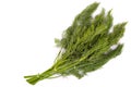 Bunch of fresh green dill isolated on white background Royalty Free Stock Photo