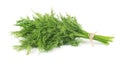 Bunch of fresh green dill isolated on white background