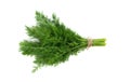 bunch fresh green dill isolated on white background. Royalty Free Stock Photo