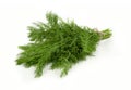 Bunch of fresh green dill isolated on white background Royalty Free Stock Photo