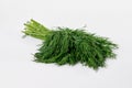 bunch fresh green dill isolated on white background Royalty Free Stock Photo