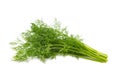 Bunch fresh green dill isolated on white background Royalty Free Stock Photo