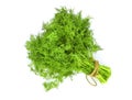 Bunch of fresh green dill isolated on white background Royalty Free Stock Photo