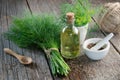 Bunch of fresh green dill, mortar of fennel seeds and dill oil. Royalty Free Stock Photo