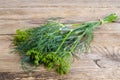 Bunch of fresh green dill with seeds on wooden table. Royalty Free Stock Photo