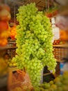 Bunch of fresh and green grapes.