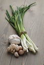 Bunch of fresh green onions and garlic Royalty Free Stock Photo