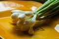 Bunch of fresh green onions lies on an orange plate