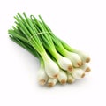 bunch of fresh green onions fresh green onion fresh green onions Royalty Free Stock Photo