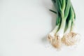 Bunch of fresh green onions on a white wooden background. Copy, empty space for text Royalty Free Stock Photo