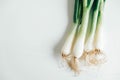 Bunch of fresh green onions on a white wooden background. Copy, empty space for text Royalty Free Stock Photo