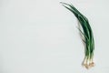 Bunch of fresh green onions on a white wooden background. Top view. Copy, empty space for text Royalty Free Stock Photo