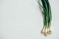 Bunch of fresh green onions on a white wooden background. Top view. Copy, empty space for text Royalty Free Stock Photo