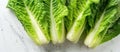 Organic Romaine Lettuce on White Counter Royalty Free Stock Photo