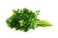 Bunch of fresh green parsley. Isolated on white background Royalty Free Stock Photo