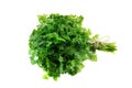 bunch of fresh, green parsley leaves isolated on white background Royalty Free Stock Photo