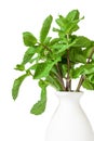 Bunch fresh green peppermint leaves with ceramic light vase isolated white background in corner